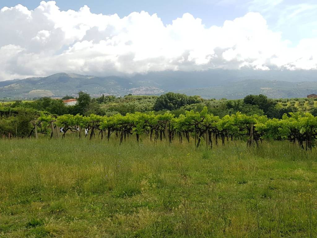 Villa a Cori - Foto 5