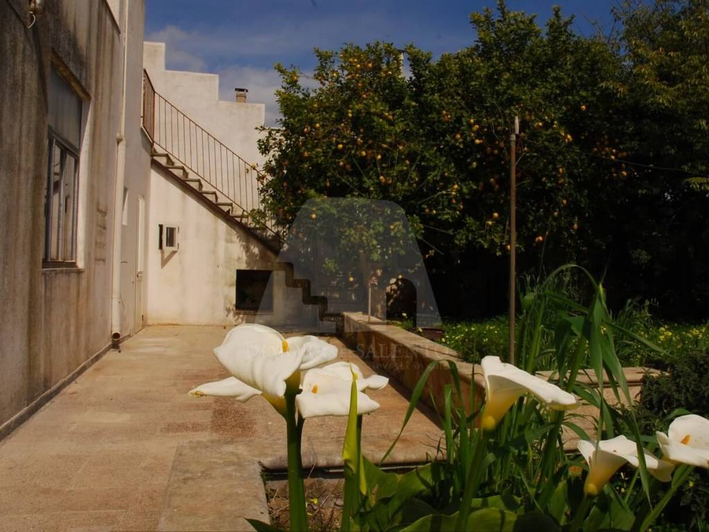 Casa indipendente a Morciano di leuca in Via Santa Caterina da Siena, 19 - Foto 2