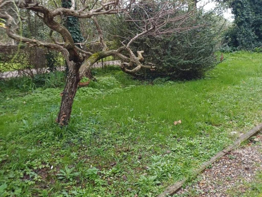 Rustico / casale a San giuliano terme in Via F. Pardi, 7 - Foto 3