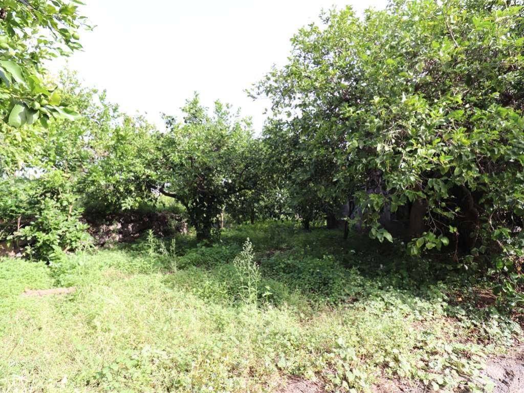 Rustico / casale a Acireale in via ROCCAMENA, 20 - Foto 3