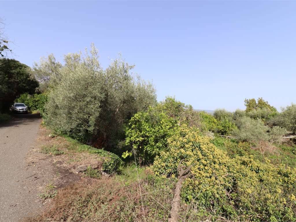 Rustico / casale a Acireale in via ROCCAMENA, 20 - Foto 4