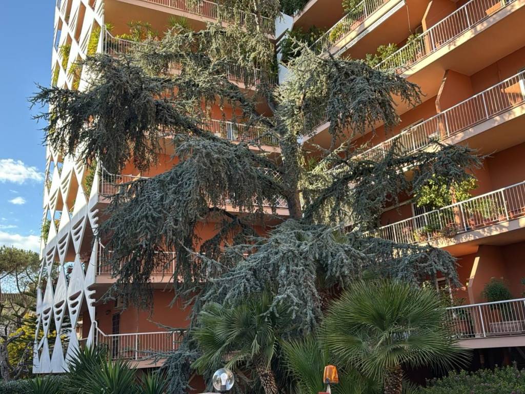 Appartamento a Bari in Via Giuseppe Petraglione - Foto 2