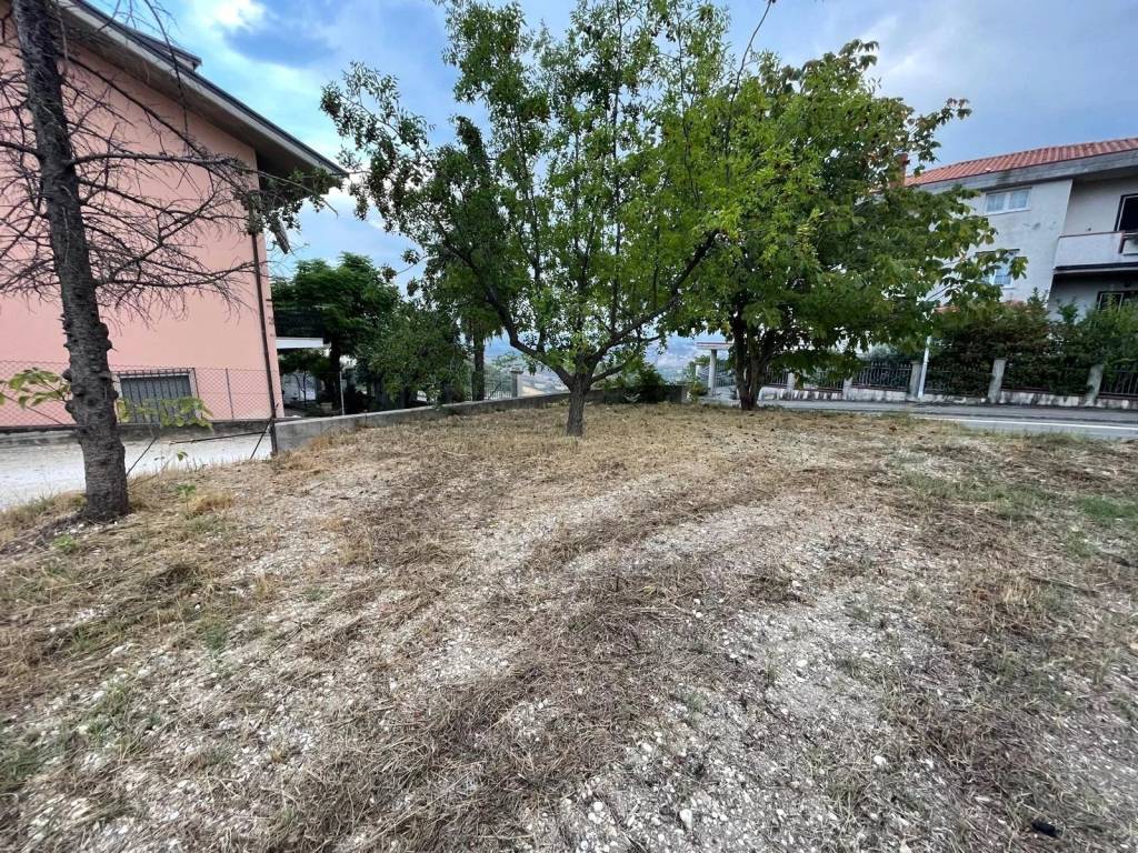 Terreno a Silvi - Foto 3