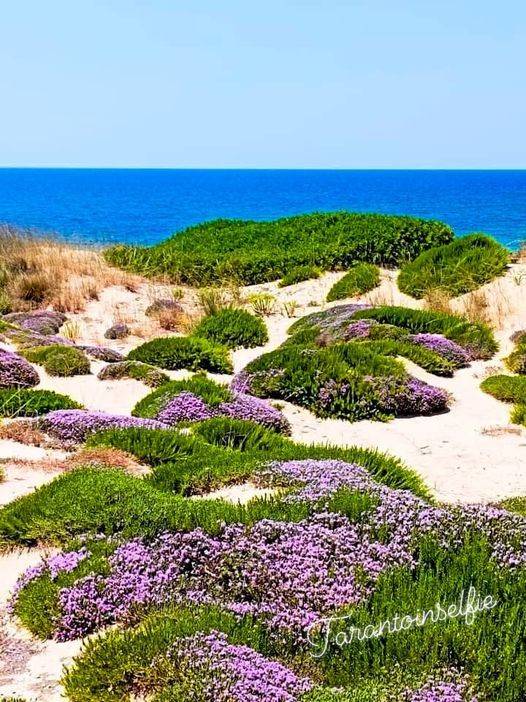 Villa a Pulsano - Foto 4