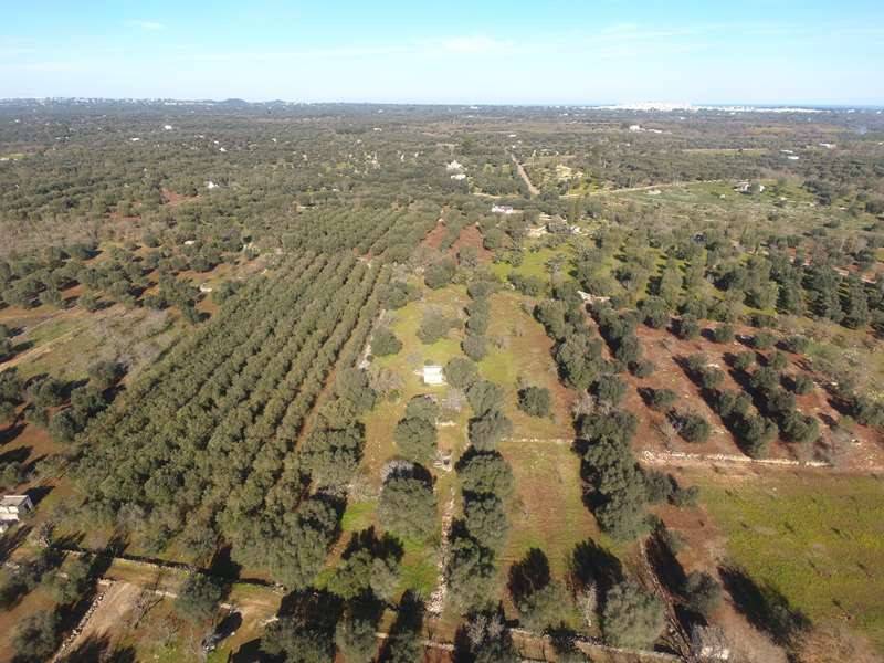 Terreno a Carovigno in Contrada Correo - Foto 2