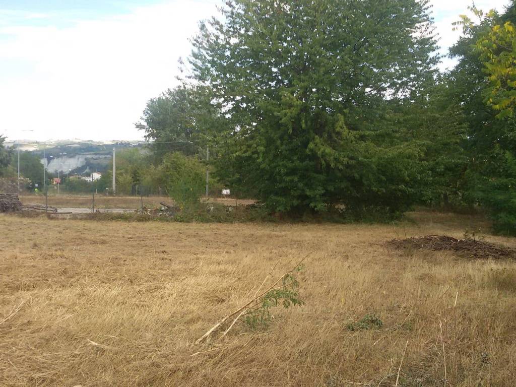 Terreno a Carrù in Via Circonvallazione - Foto 2