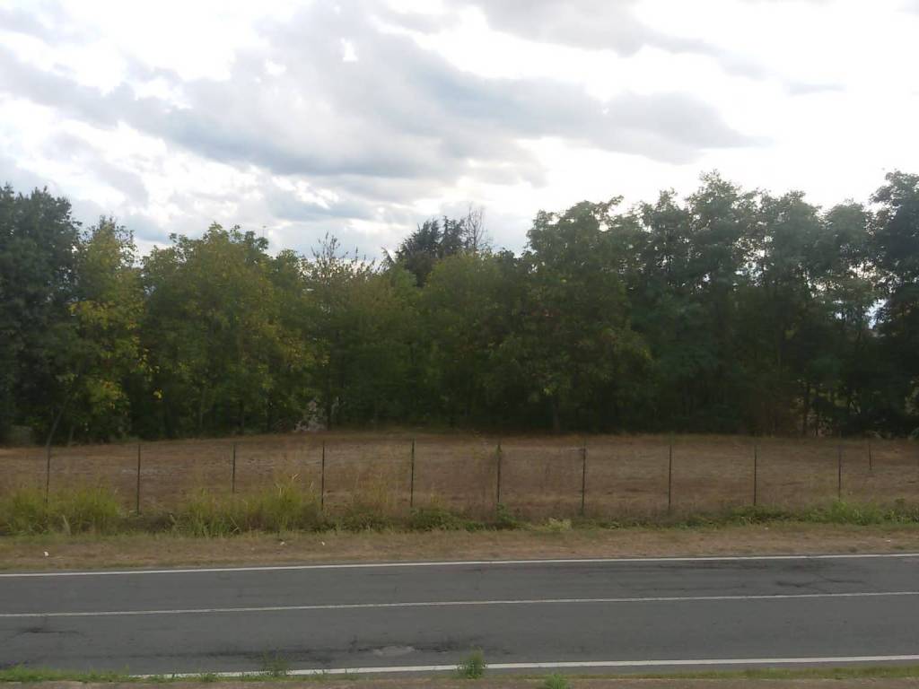 Terreno a Carrù in Via Circonvallazione - Foto 3