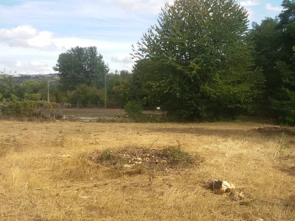Terreno a Carrù in Via Circonvallazione - Foto 5