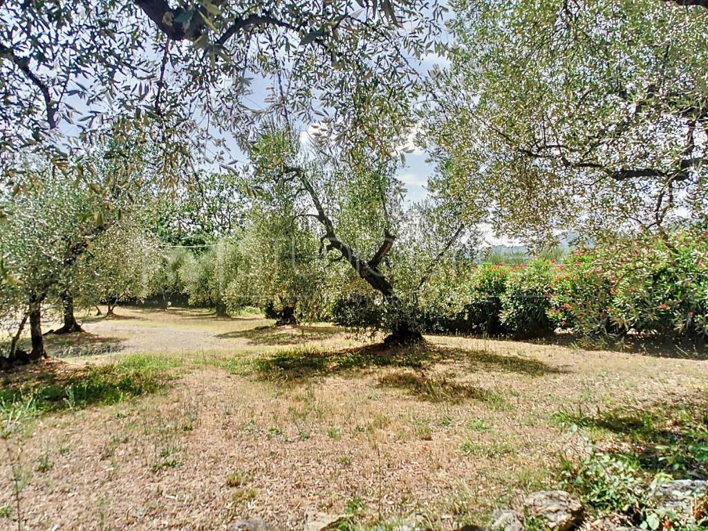 Rustico / casale a Serravalle pistoiese in Via Poggiolina Bassa, 8 - Foto 4