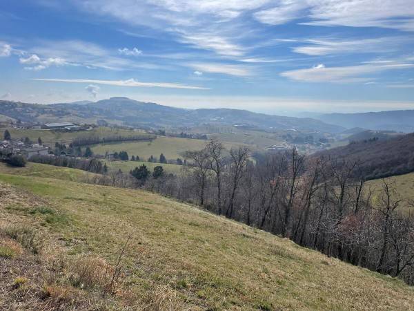 Rustico / casale a Bosco chiesanuova in contrada girlandi - Foto 3