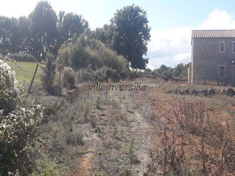 Rustico / casale a Manciano - Foto 3