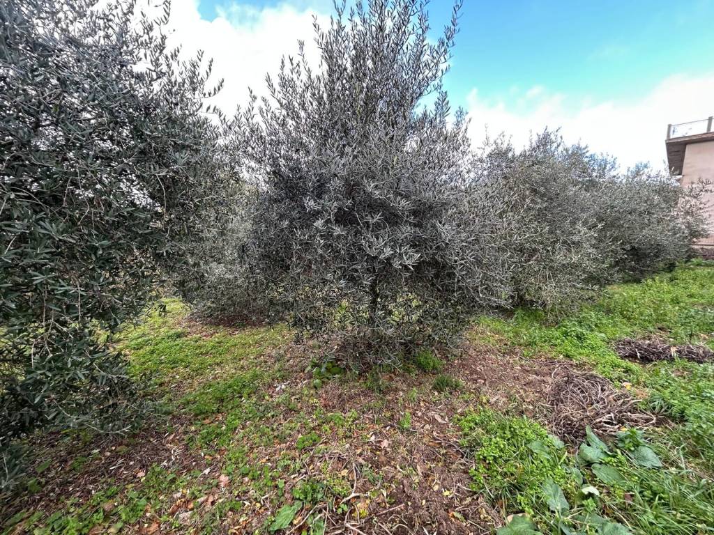 Rustico / casale a San giorgio del sannio in Via Principe Carlo Spinelli - Foto 2
