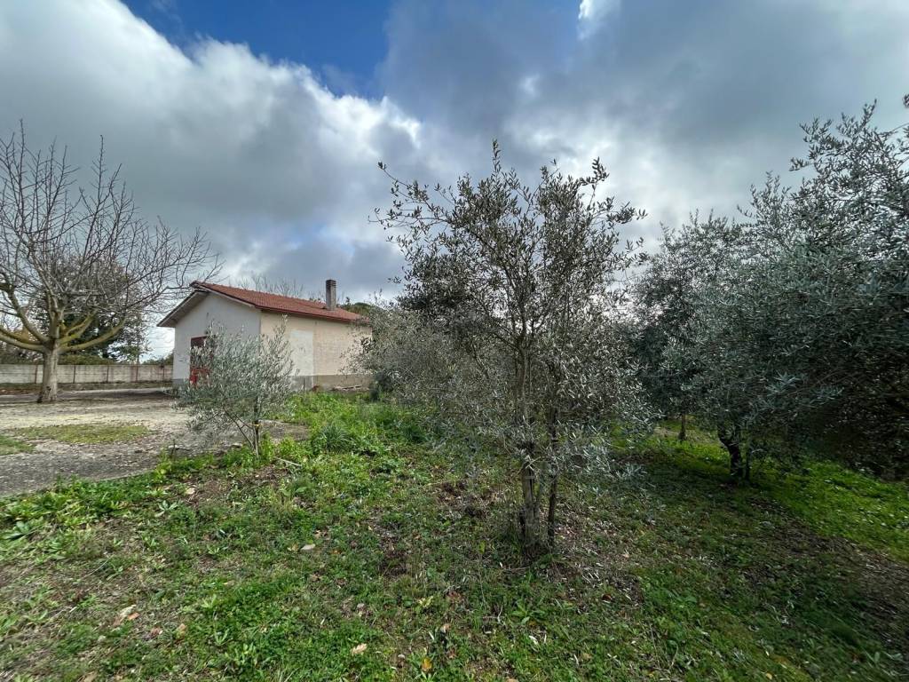 Rustico / casale a San giorgio del sannio in Via Principe Carlo Spinelli - Foto 3
