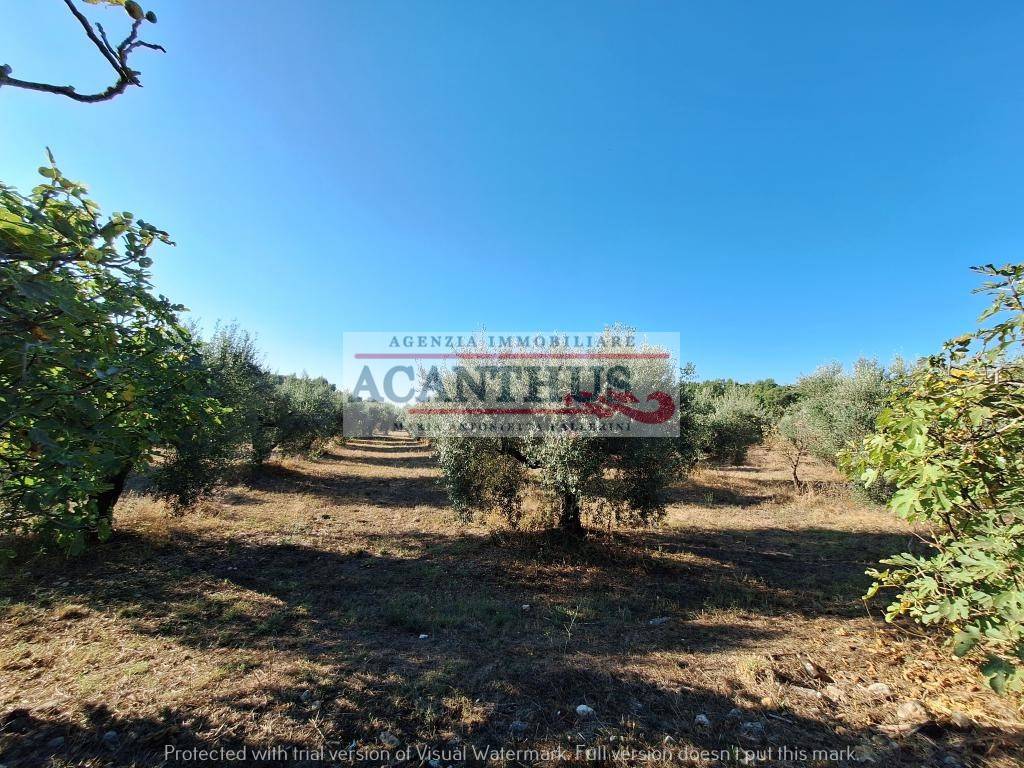 Rustico / casale a Cori in Via Pezze di Ninfa - Foto 2