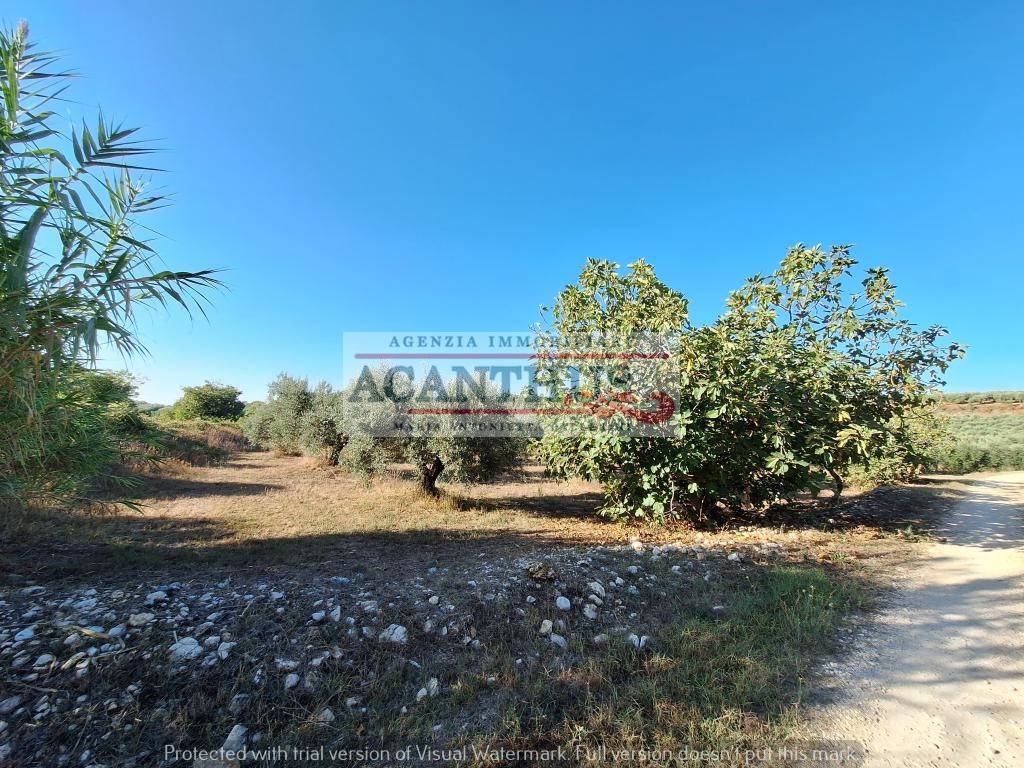 Rustico / casale a Cori in Via Pezze di Ninfa - Foto 4