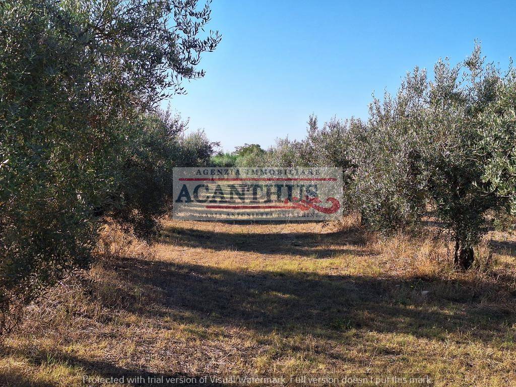 Rustico / casale a Cori in Via Pezze di Ninfa - Foto 5