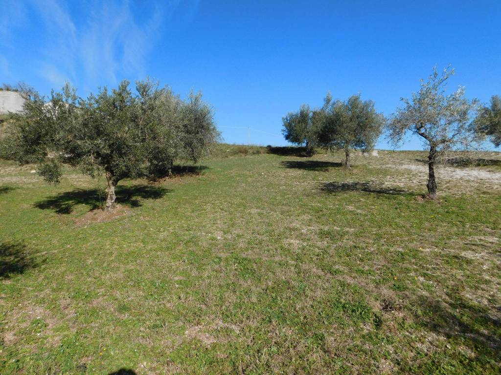 Villa a Laino borgo in Autostrada del Mediterraneo - Foto 3
