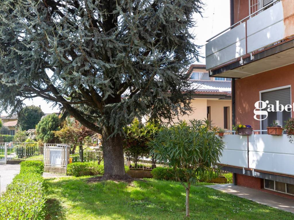 Appartamento a Lomagna in Via Po', 5 - Foto 2