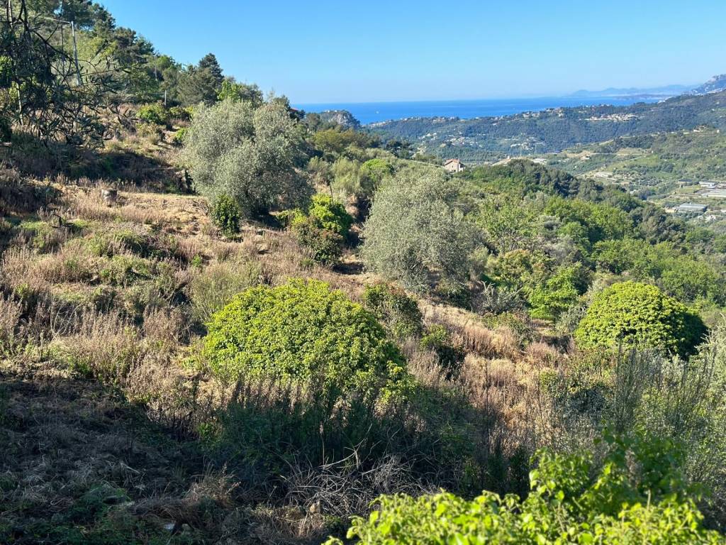 Terreno a Vallebona in Strada Mergai, 2 - Foto 3