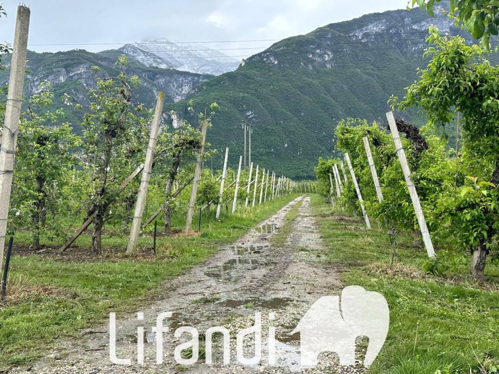 Terreno a Trento - Foto 2