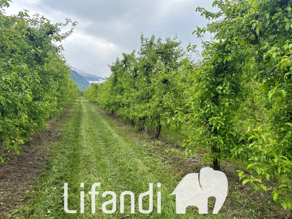 Terreno a Trento - Foto 3