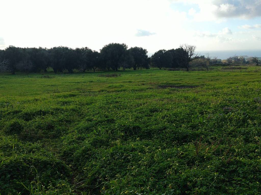 Rustico / casale a Zambrone in Via Paolo Borsellino, 4 - Foto 4