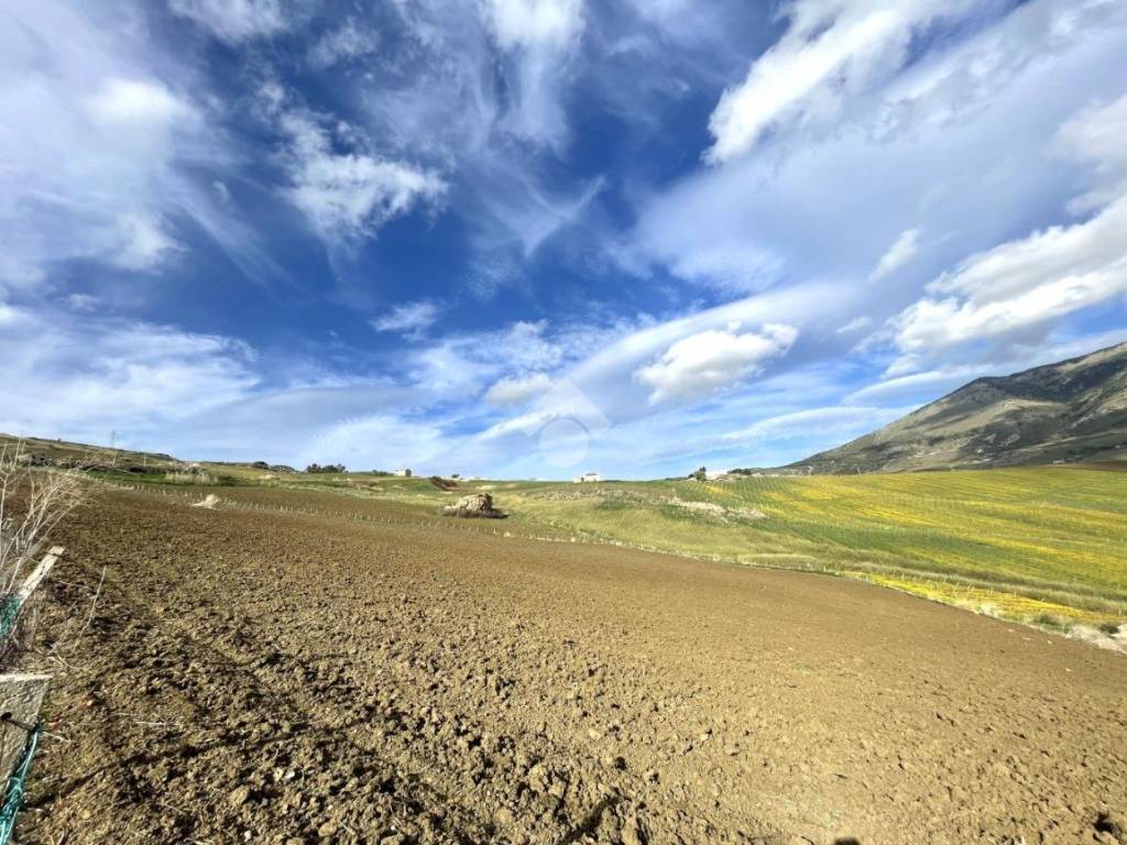 Terreno a Castellammare del golfo in Contrada Abbatello - Foto 2