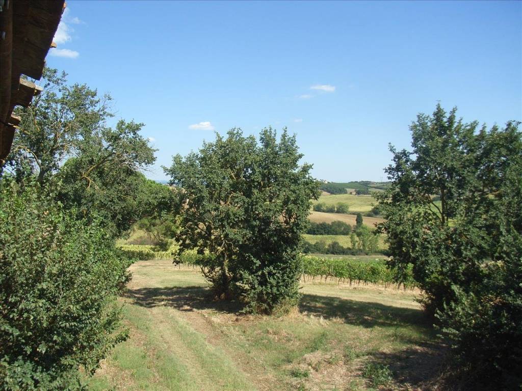 Rustico / casale a Montepulciano - Foto 5