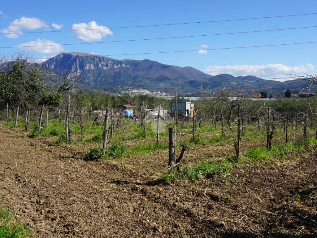 Terreno a Montecorvino rovella in Contrada incassata - Foto 2
