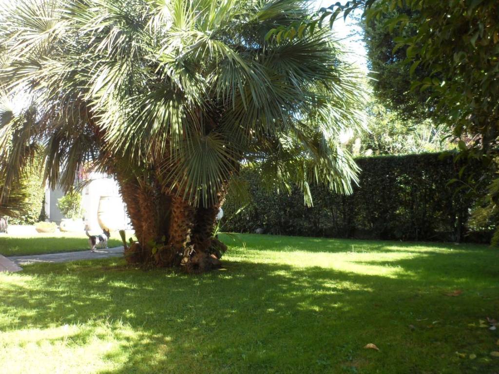 Villa a Pietrasanta in Via Sardegna, 32 - Foto 5