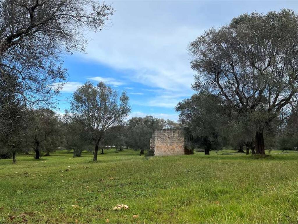 Terreno a San vito dei normanni - Foto 4