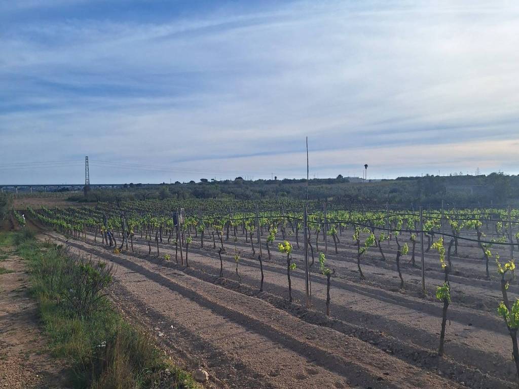 Terreno a Mazara del vallo in Via Mario Sironi - Foto 2
