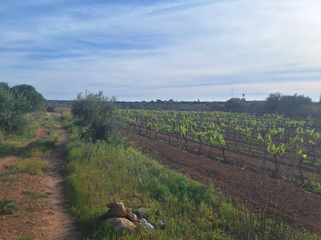 Terreno a Mazara del vallo in Via Mario Sironi - Foto 3