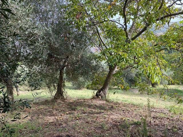 Casa indipendente a Castelpoto in Via Cappella, 1 - Foto 3