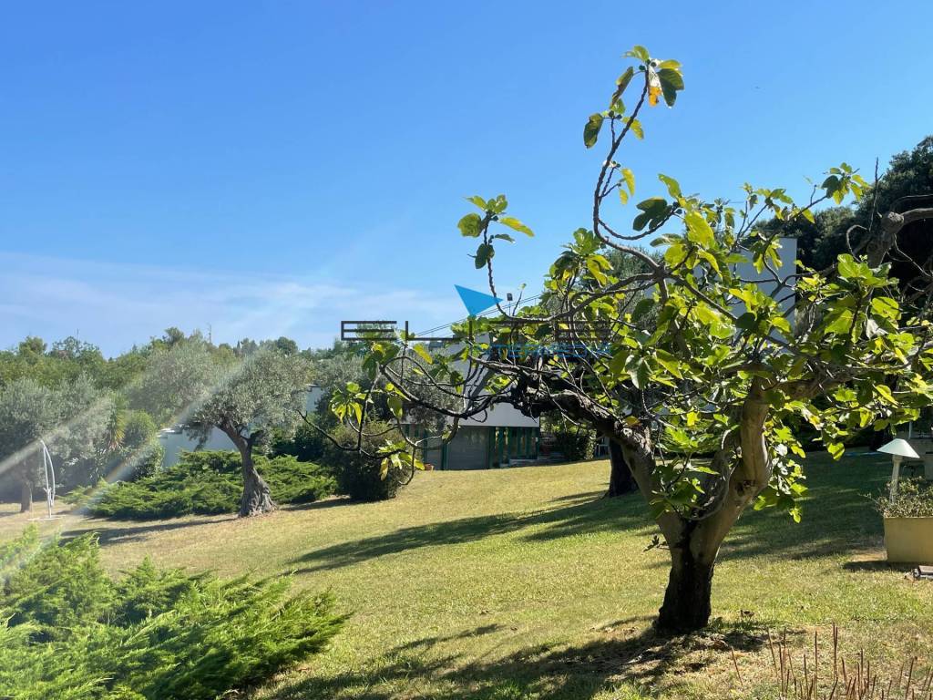 Villa a Pescara in strada provinciale pescara san silvestro, 328 - Foto 4