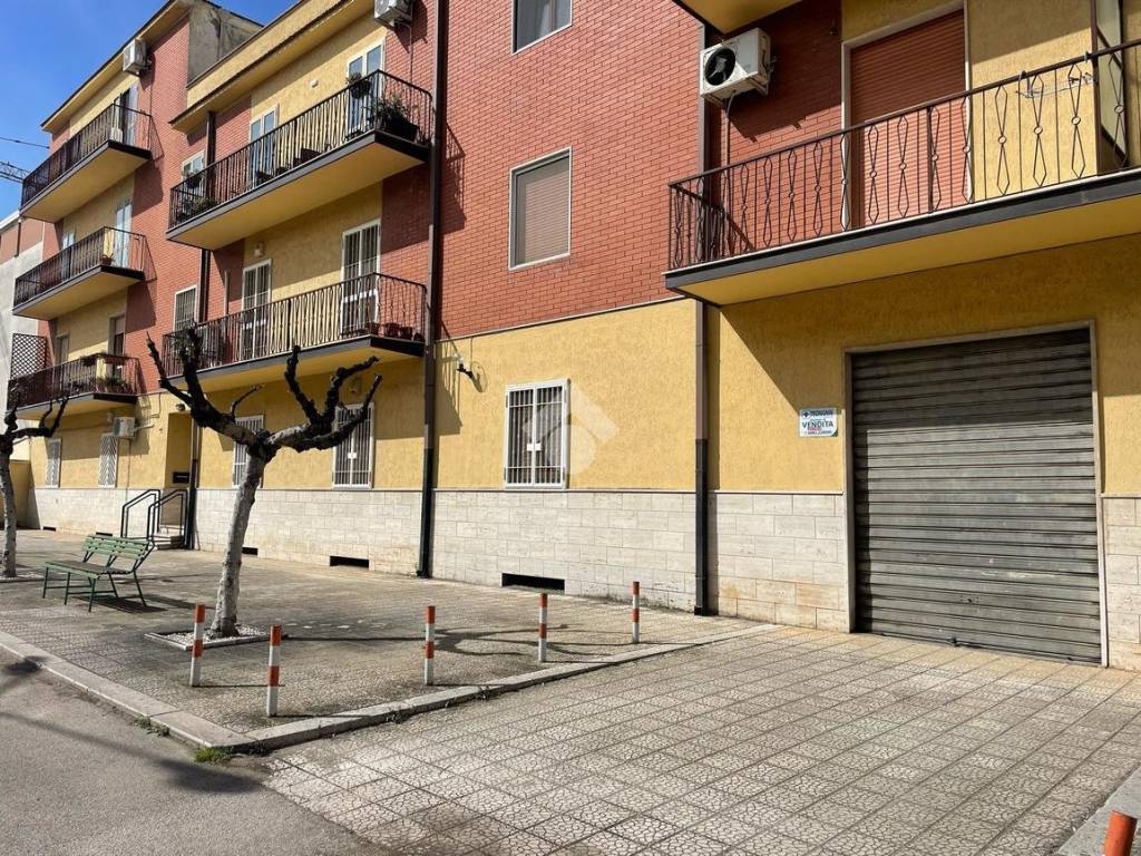 Immobile a San severo in Via Giusti, 48 - Foto 5