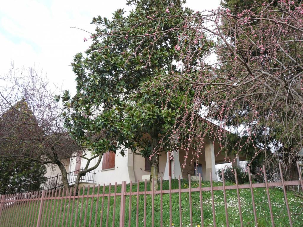 Villa a Torrile in Via Kennedy, 12 - Foto 3