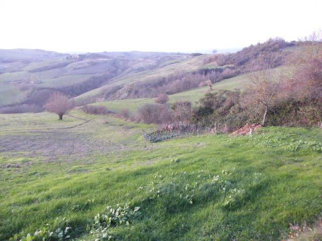 Rustico / casale a Radicofani - Foto 2