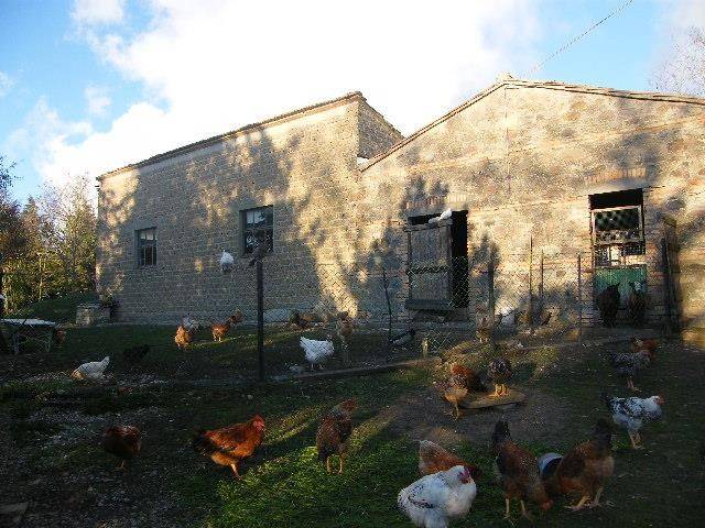 Rustico / casale a Radicofani - Foto 4