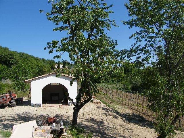 Terreno a Sarteano - Foto 3