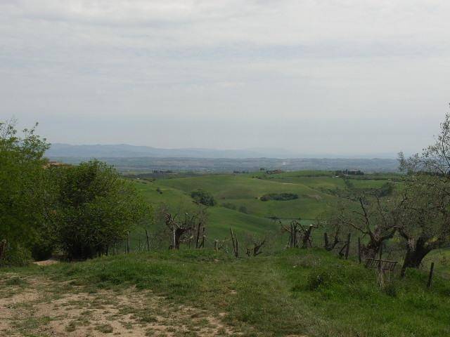 Rustico / casale a Torrita di siena - Foto 2