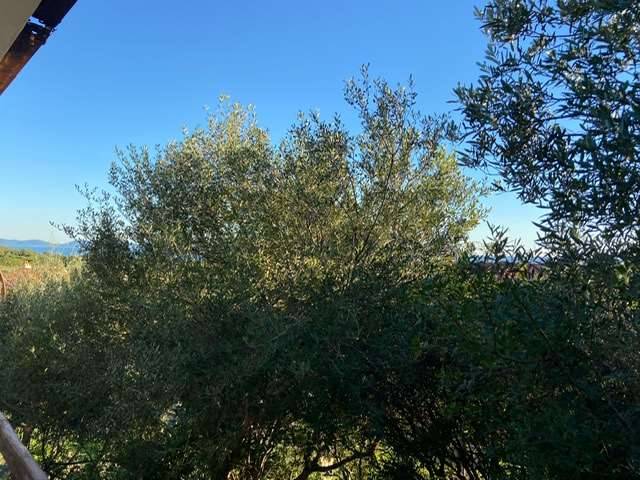Villa a Sant'antioco in Peonia Rosa - Foto 4