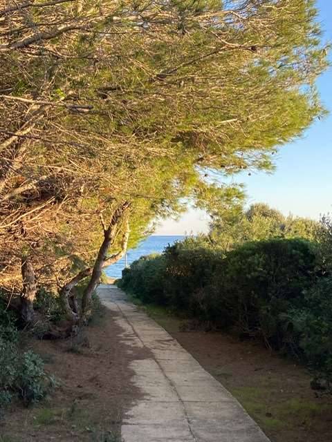 Villa a Sant'antioco in Peonia Rosa - Foto 5