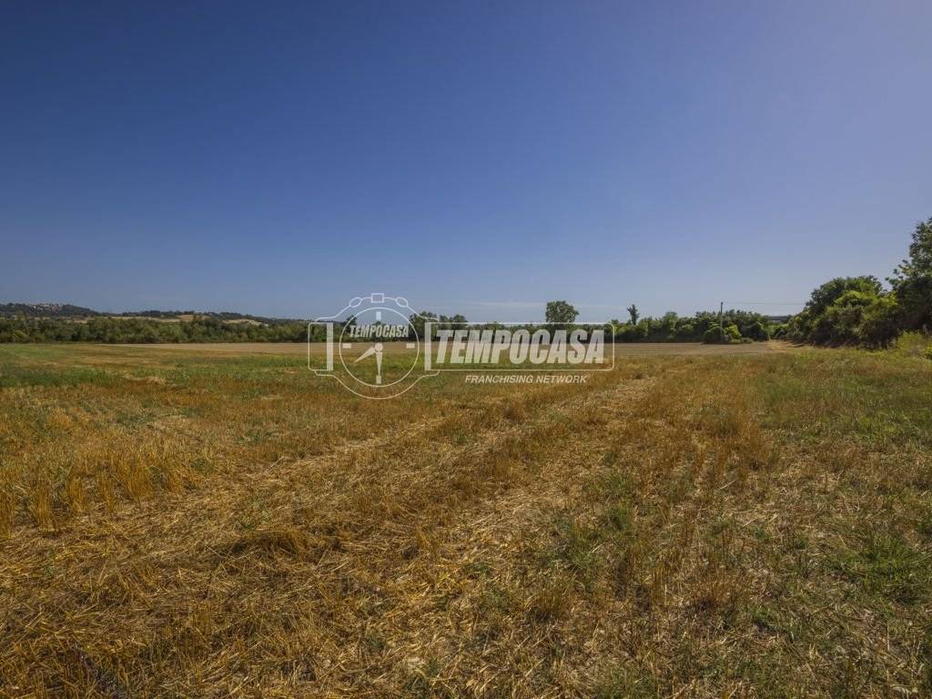 Terreno a Corridonia - Foto 3