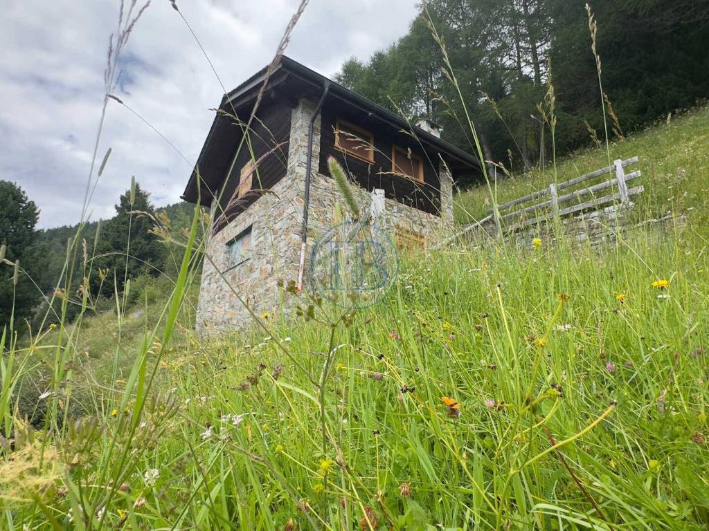 Rustico / casale a Mazzo di valtellina in Passo del Mortirolo - Foto 4
