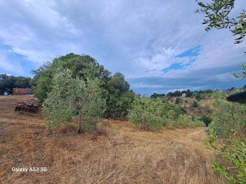 Terreno a Rosignano marittimo in Località La Tagliola - Foto 2