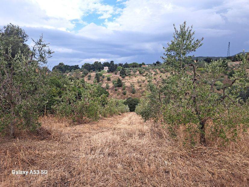 Terreno a Rosignano marittimo in Località La Tagliola - Foto 3