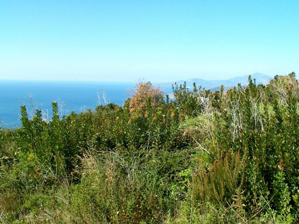 Rustico / casale a Camerota in Via Monte di Luna - Foto 2