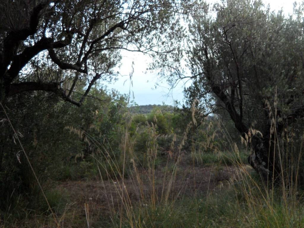 Rustico / casale a Camerota in Via Monte di Luna - Foto 4