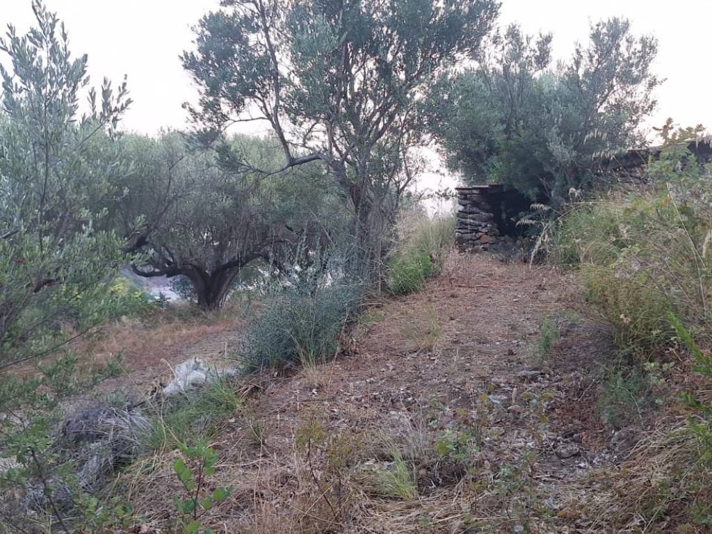 Rustico / casale a Camerota in Via Monte di Luna - Foto 5